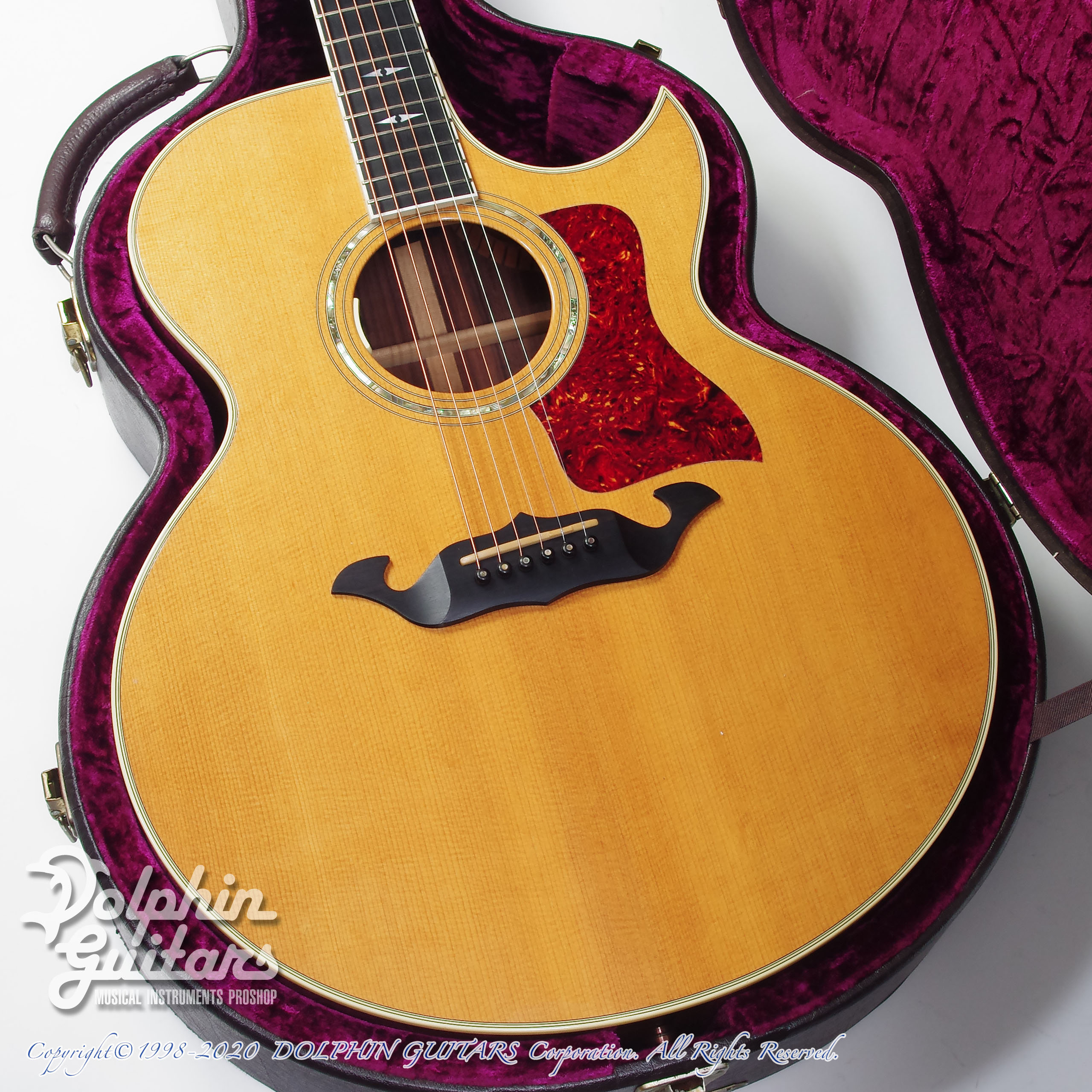 TAYLOR 815C|ドルフィンギターズ