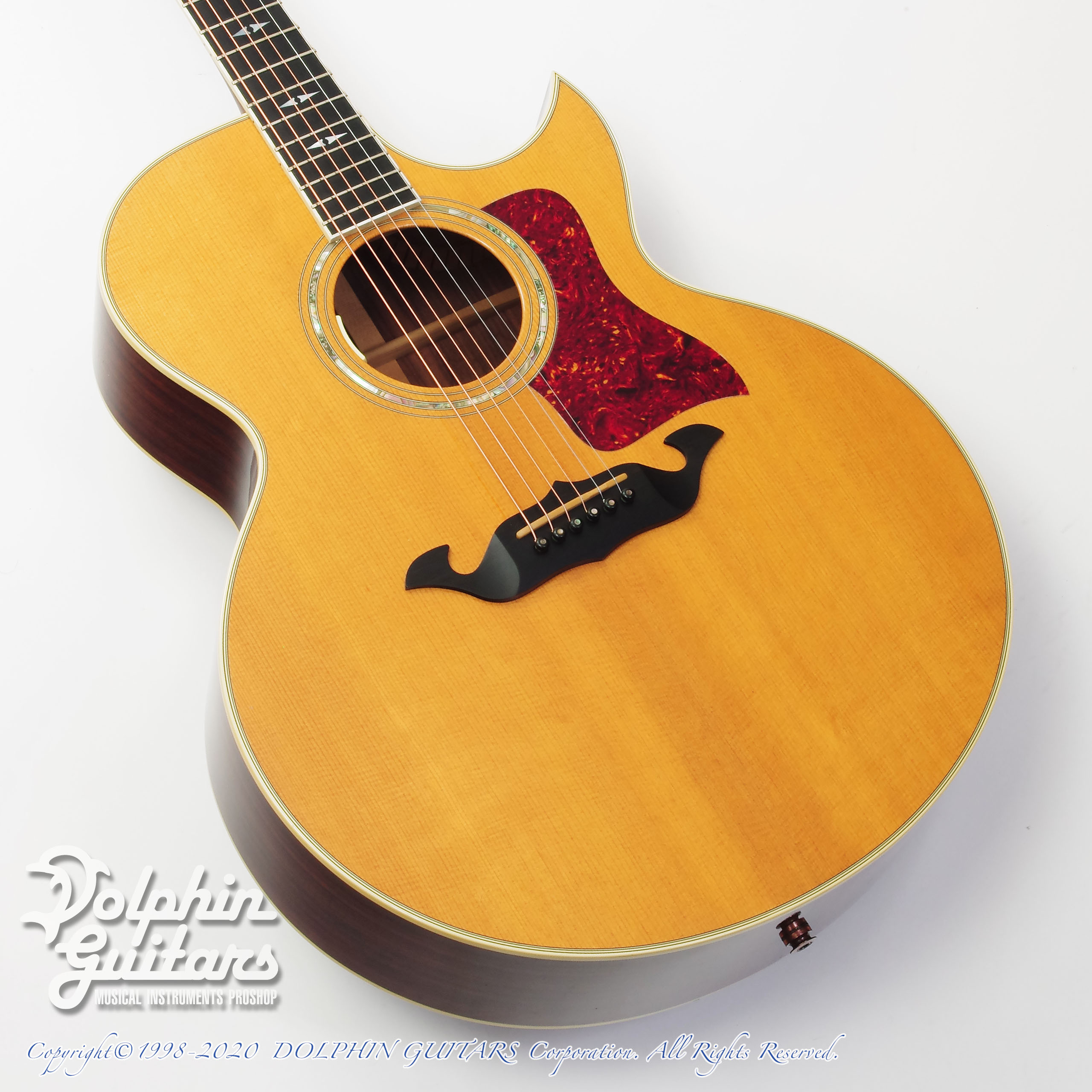 TAYLOR 815C|ドルフィンギターズ
