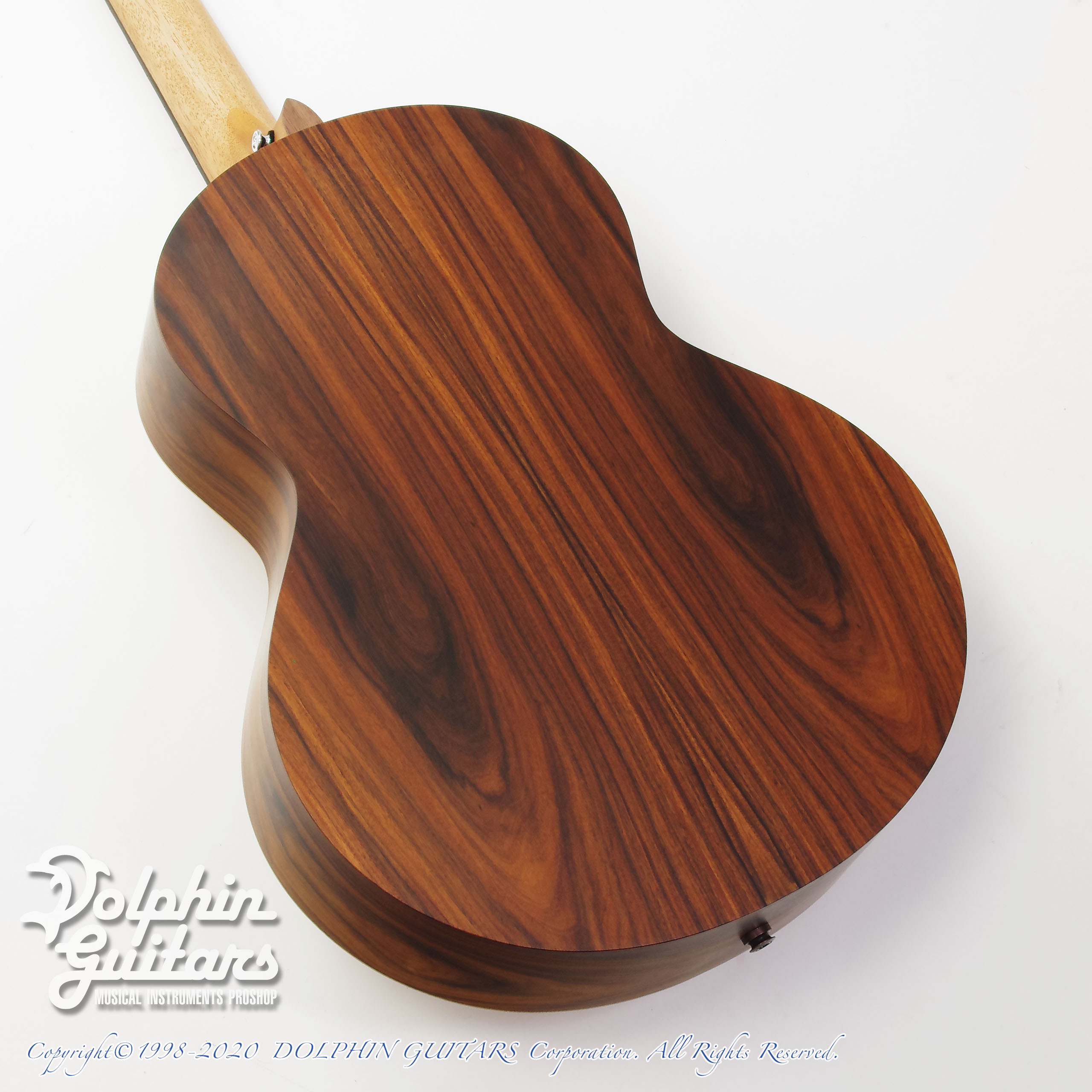 シーランギター パーフェロー　サントスローズ