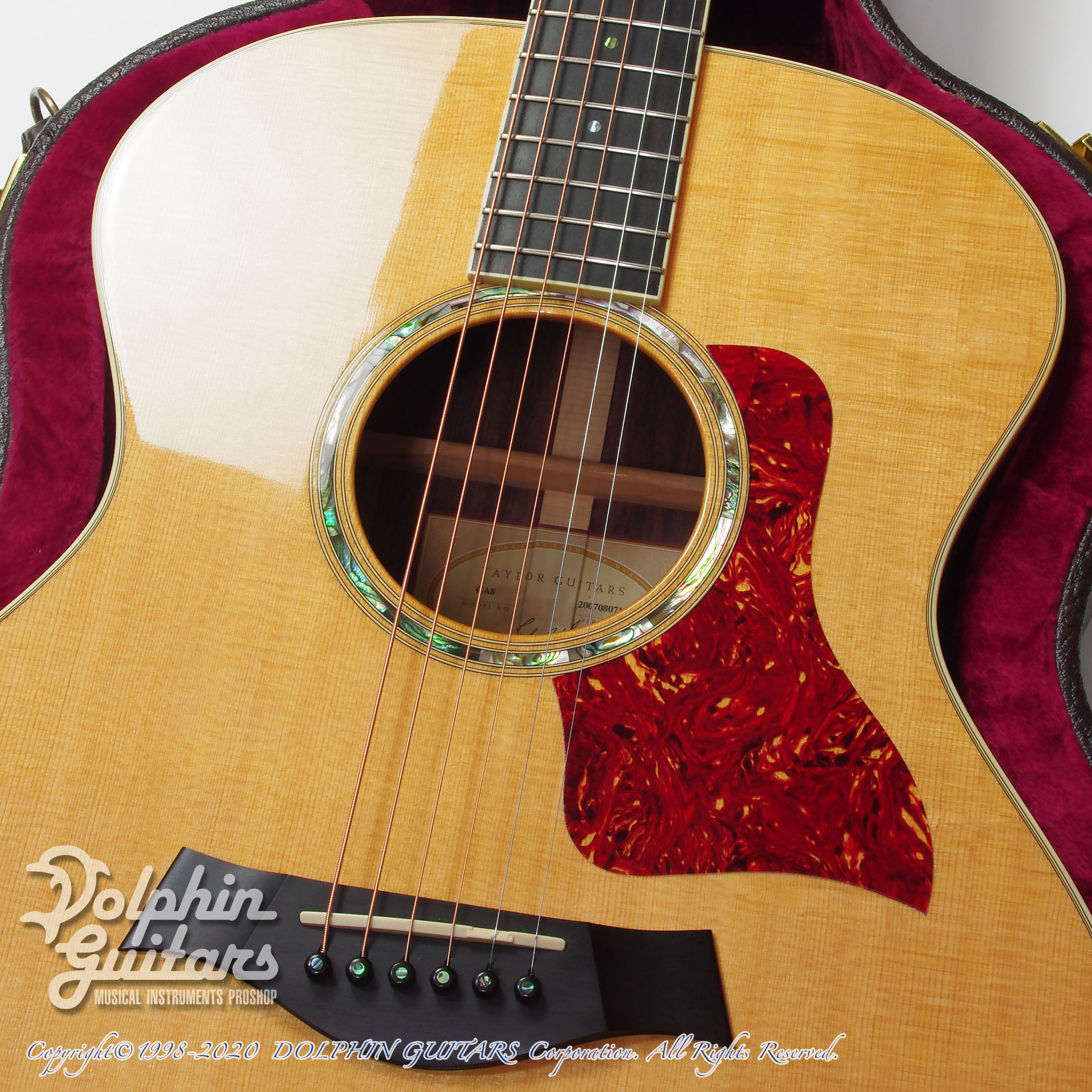 TAYLOR GA8|ドルフィンギターズ