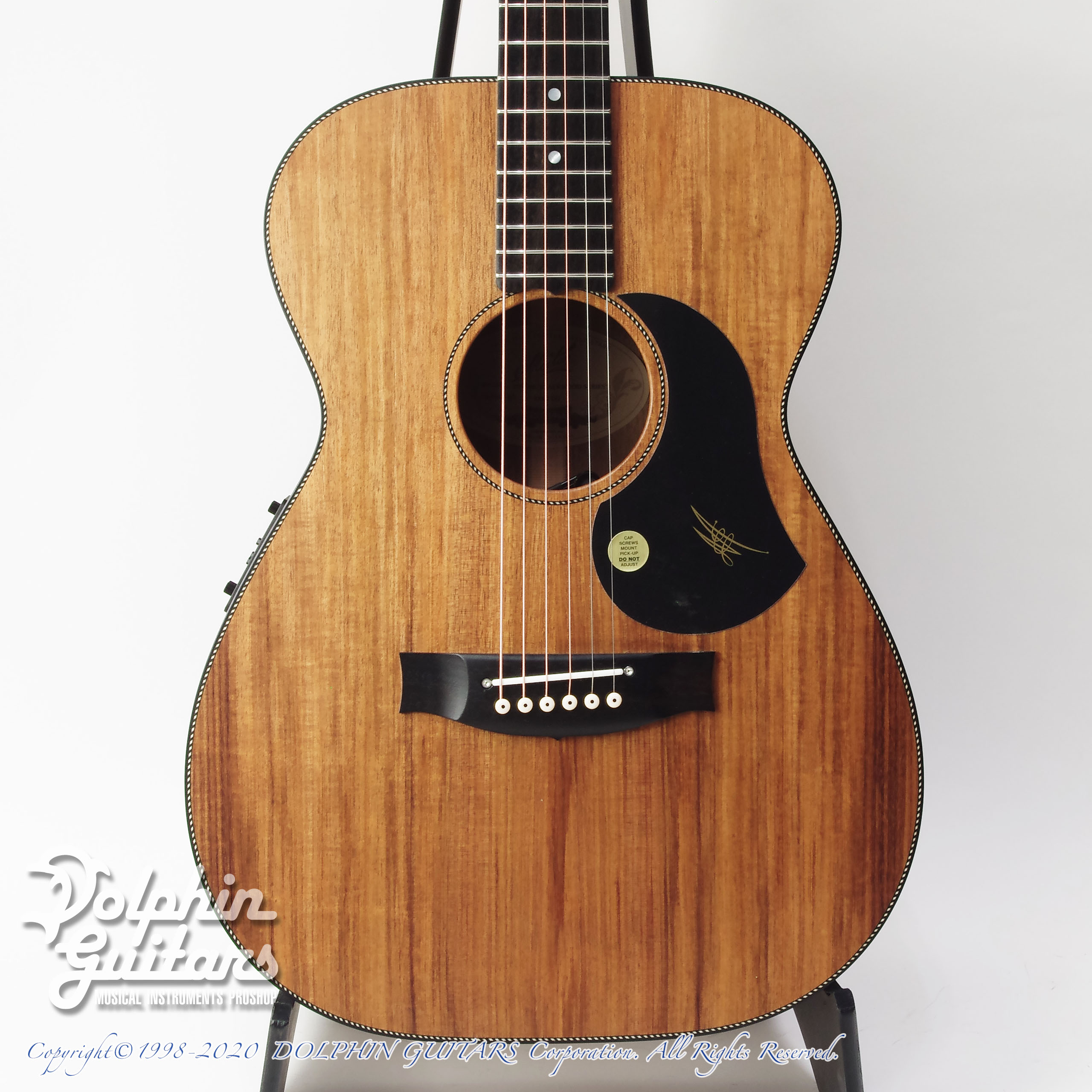 MATON EBW808|ドルフィンギターズ