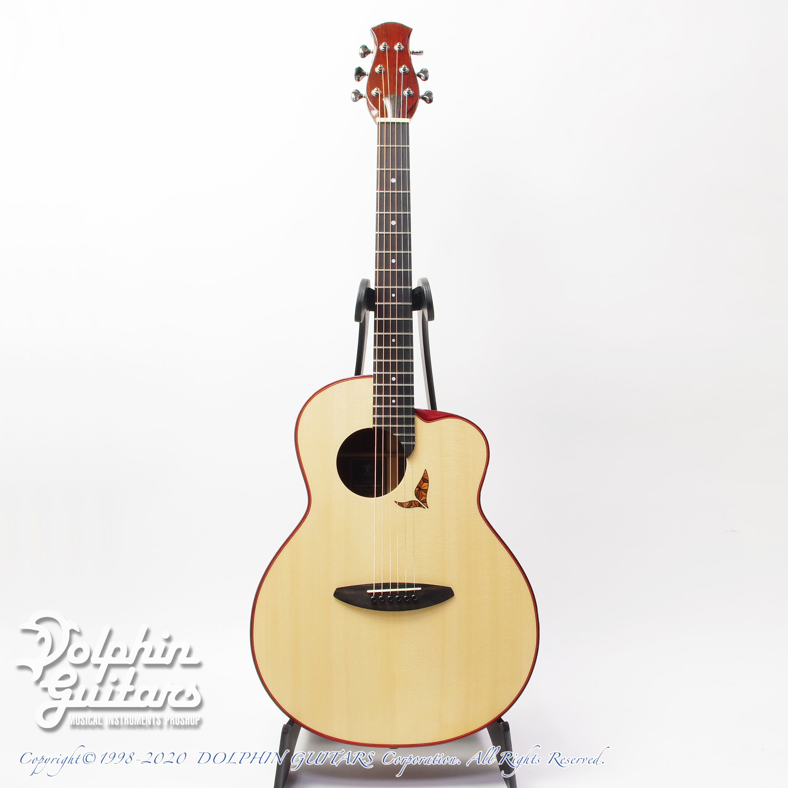 aNueNue LS800 Designed by Sugita Kenji|ドルフィンギターズ