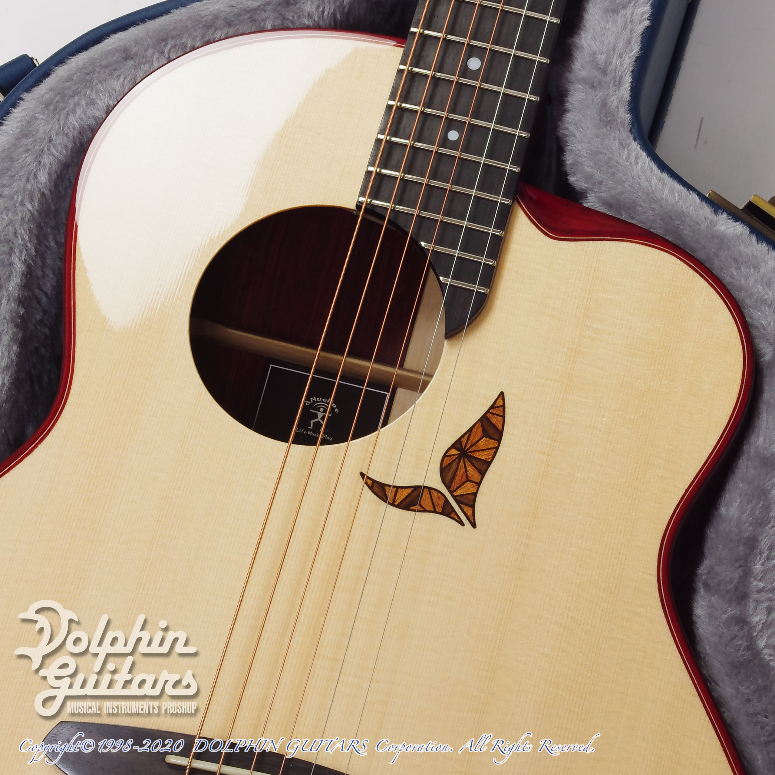 aNueNue LS800 Designed by Sugita Kenji|ドルフィンギターズ