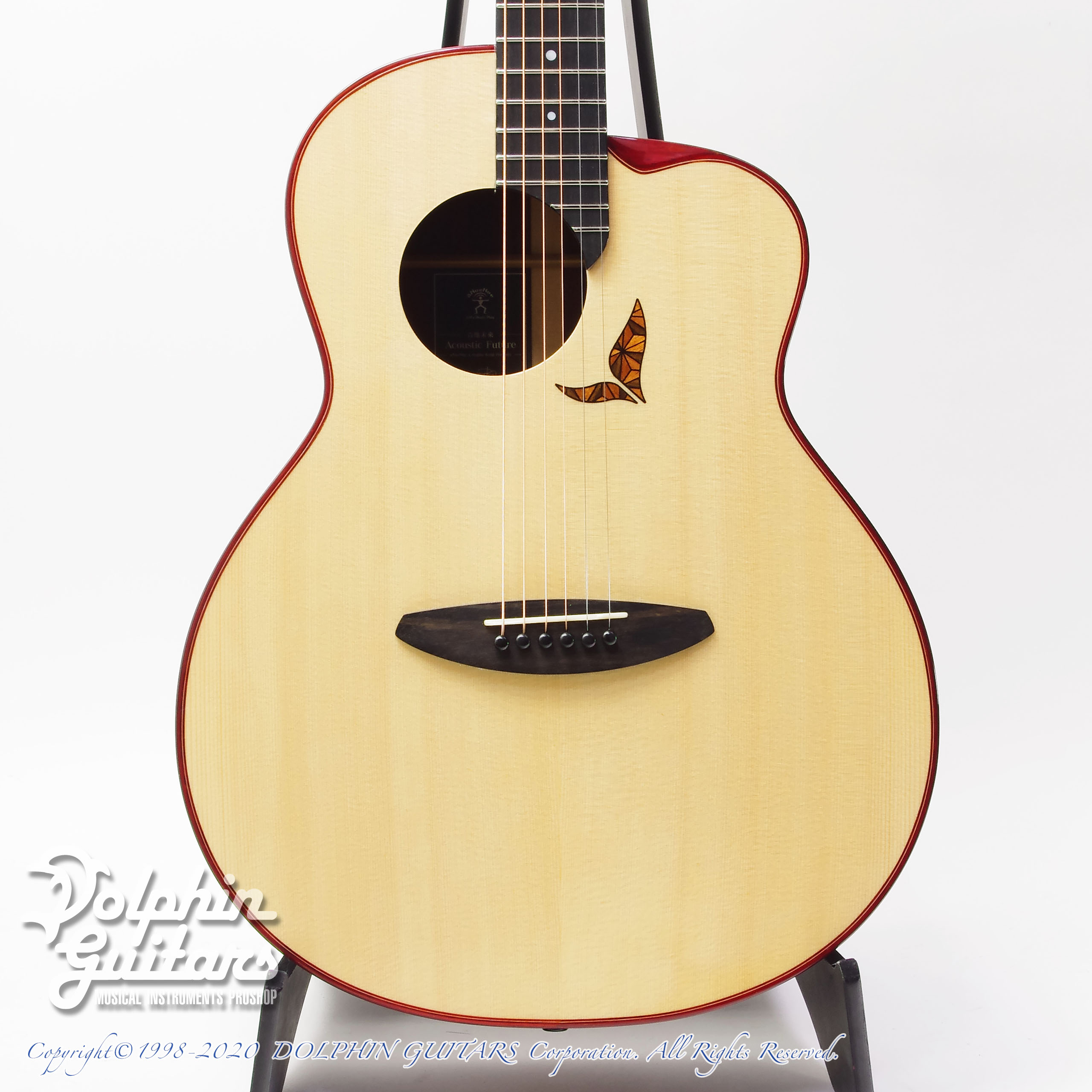 aNueNue LS800 Designed by Sugita Kenji|ドルフィンギターズ