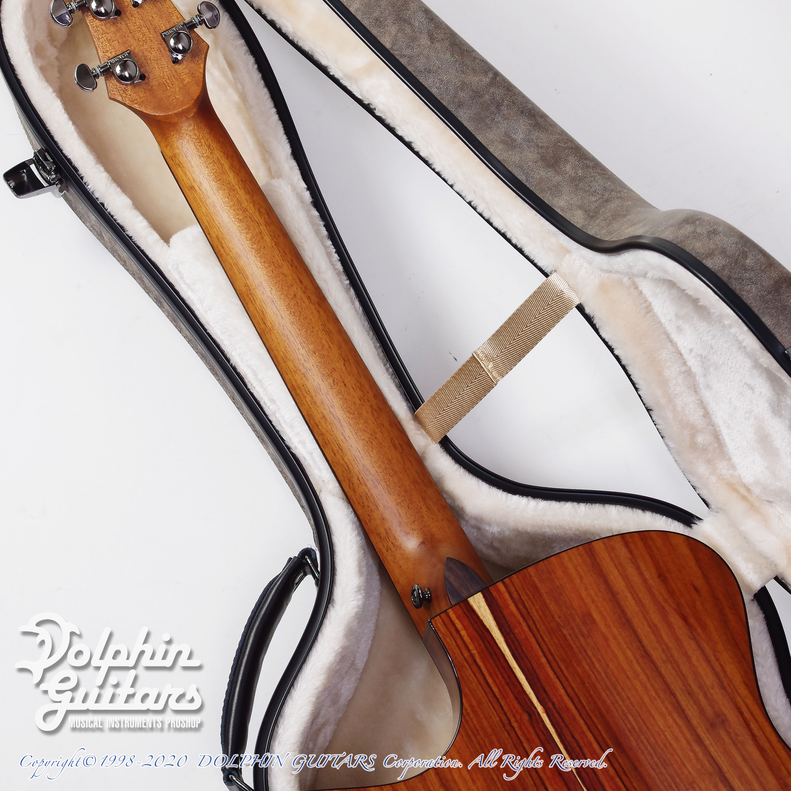 Maestro Guitars Vera SR CSB A|ドルフィンギターズ