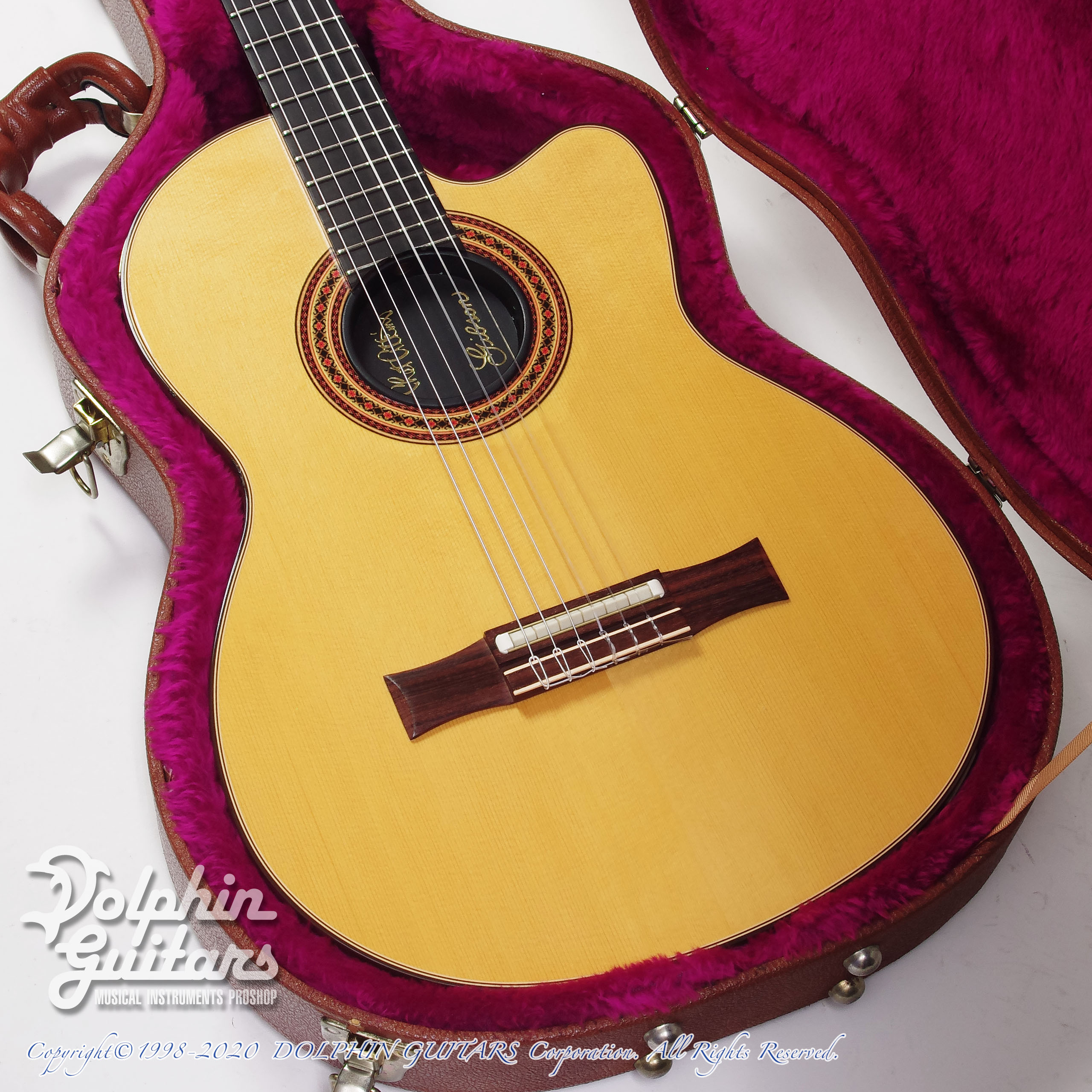 Gibson Chet Atkins CE (Nylon Model)|ドルフィンギターズ