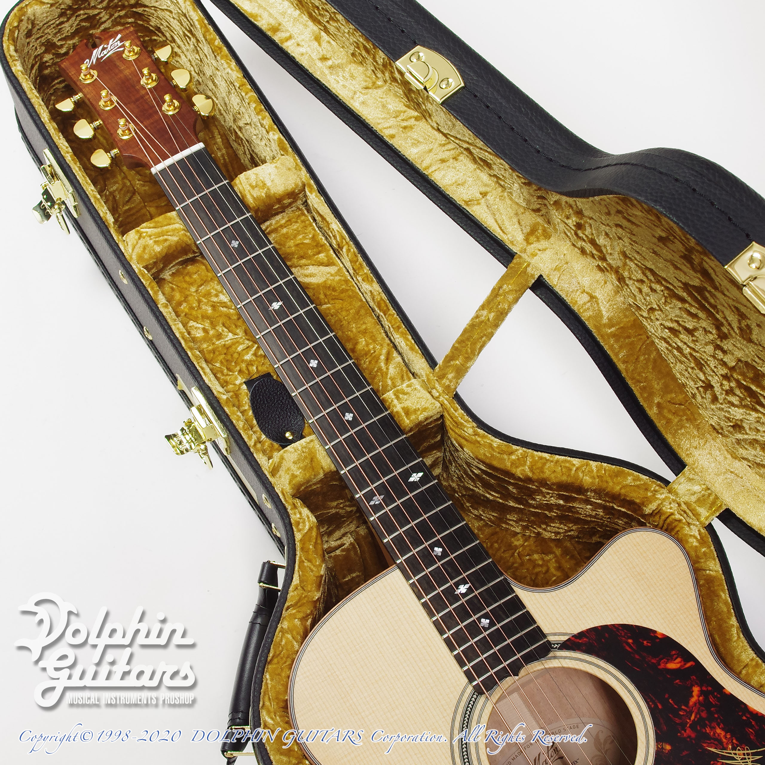 MATON EBG808C Michael Fix ドルフィンギターズ