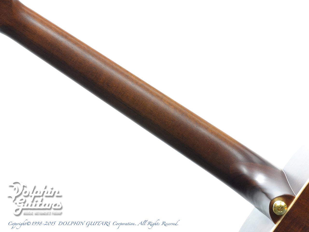 秦基博　完全受注生産盤3DVD＋ギターピックチャーム MATON EBG808MH (秦 基博シグネチャー)|ドルフィンギターズ