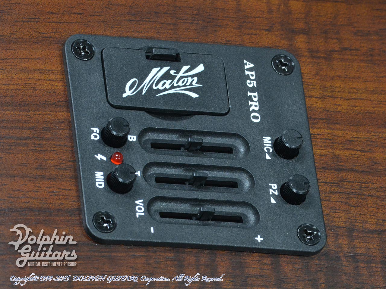 MATON EBG808MH (秦 基博シグネチャー)|ドルフィンギターズ