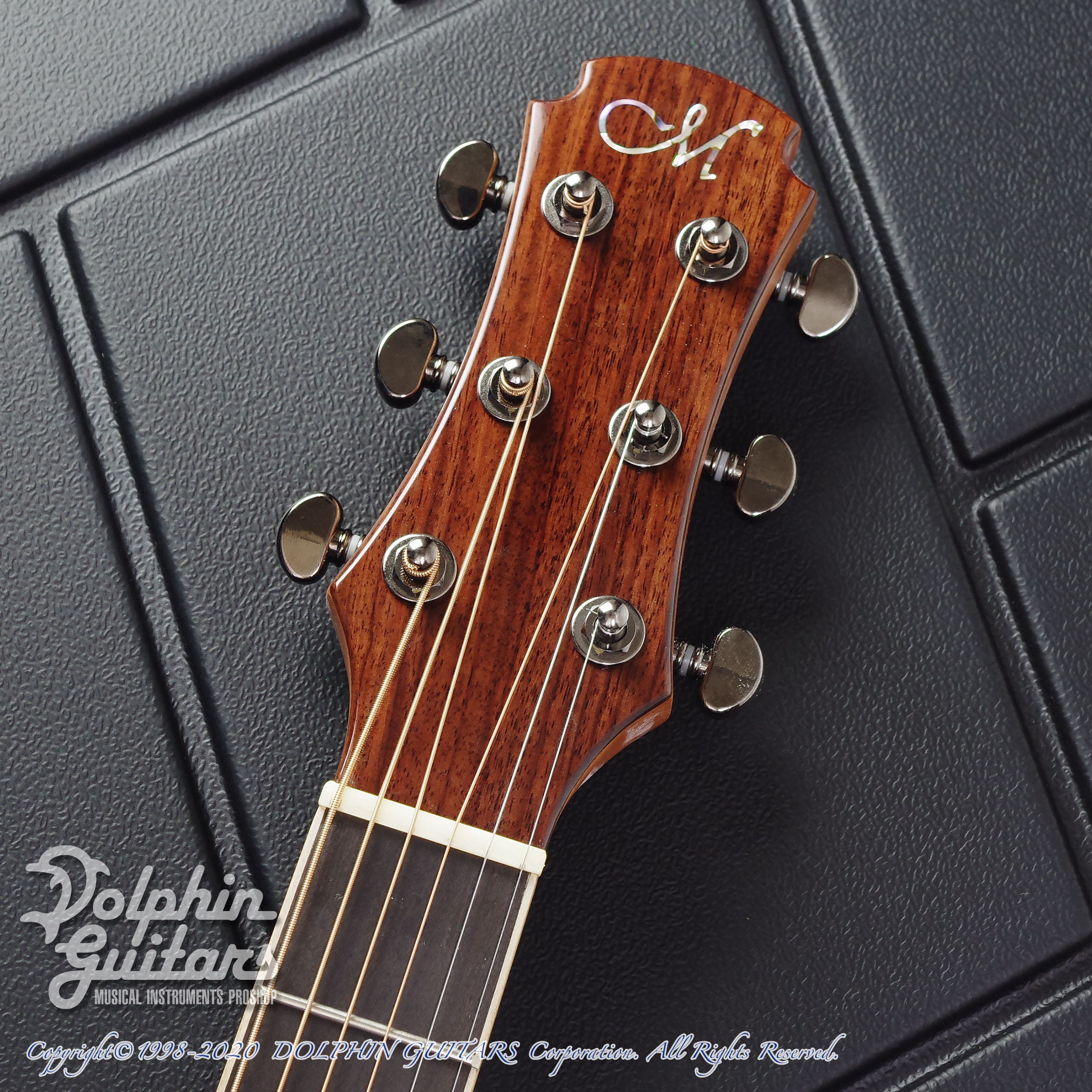 Maestro Guitars Victoria IR CSB|ドルフィンギターズ