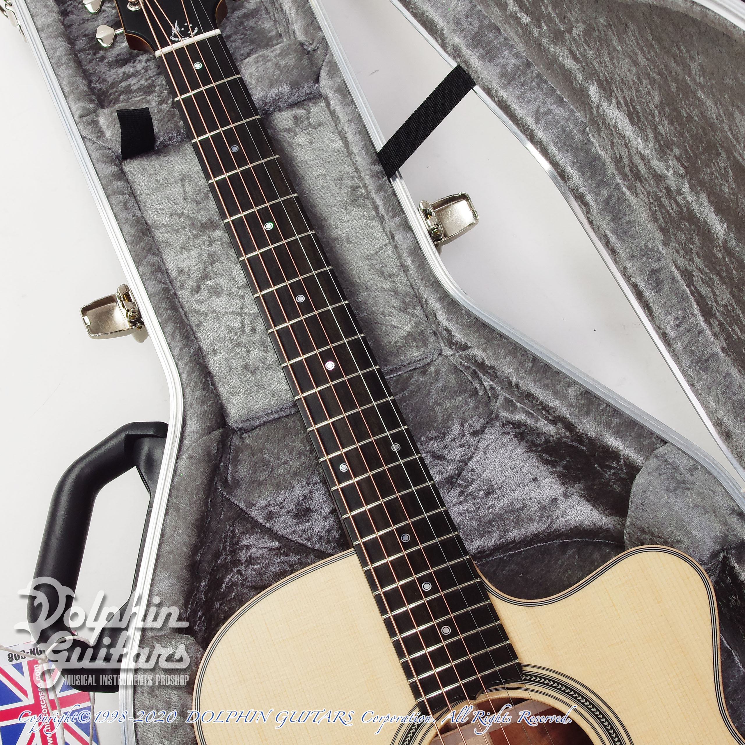 MATON Custom Shop 808C Blackwood|ドルフィンギターズ