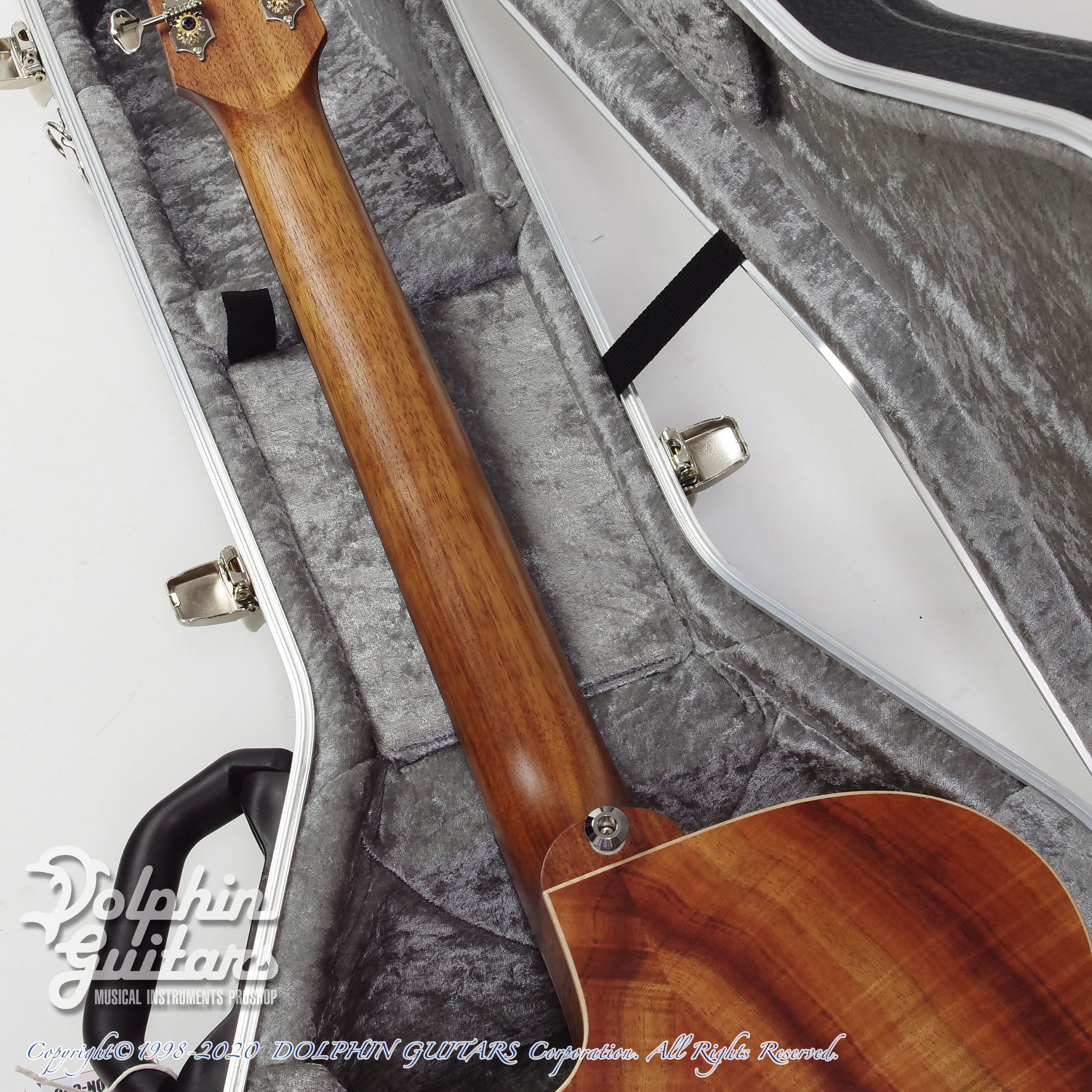 MATON Custom Shop 808C Blackwood|ドルフィンギターズ