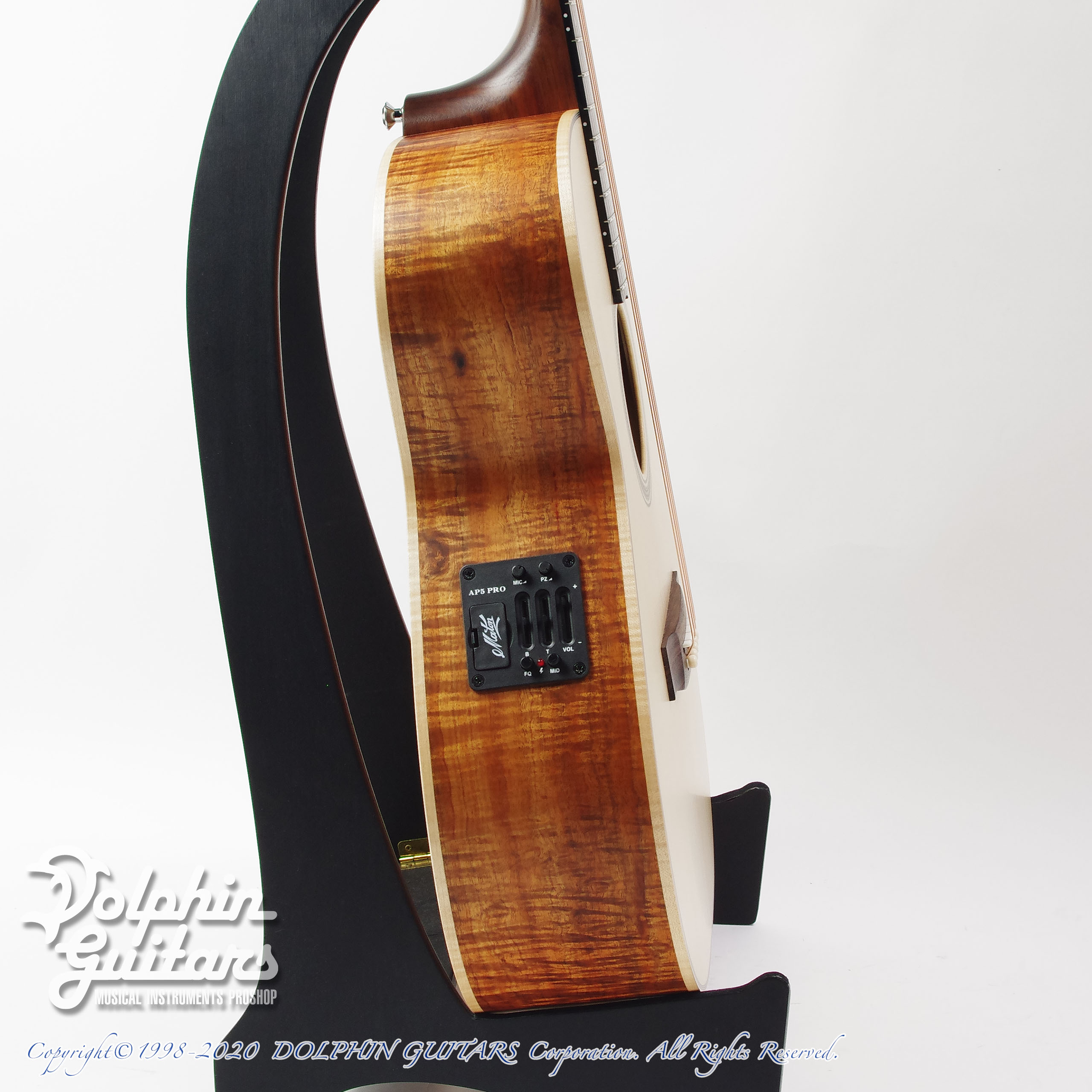 MATON Custom Shop 808C Blackwood|ドルフィンギターズ