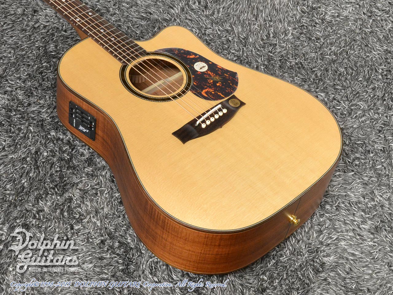 MATON The 70th Anniversary Edition Dreadnought|ドルフィンギターズ