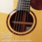 REYDEN SJ Cutaway (Madagascar Rosewood)10