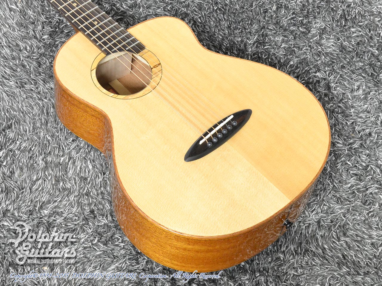 aNueNue Bird Guitar Series aNN-M100|ドルフィンギターズ