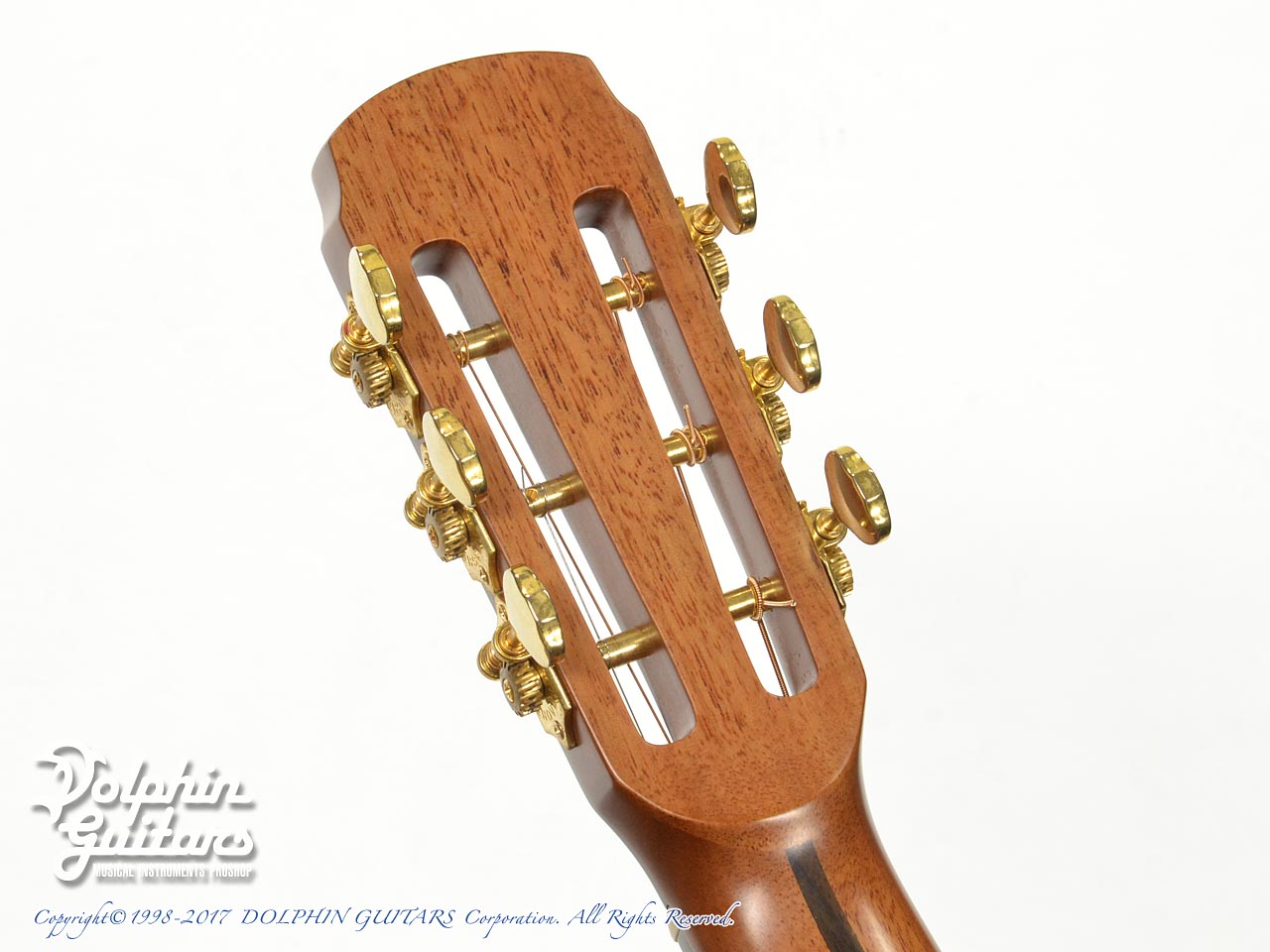 Maestro Guitars Vera SB MR (Madagascar Rosewood)|ドルフィンギターズ