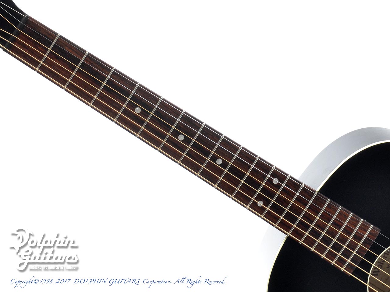 WATERLOO (by Collings) WL-14L Jet Black (Ladder-Bracing & T-Bar
