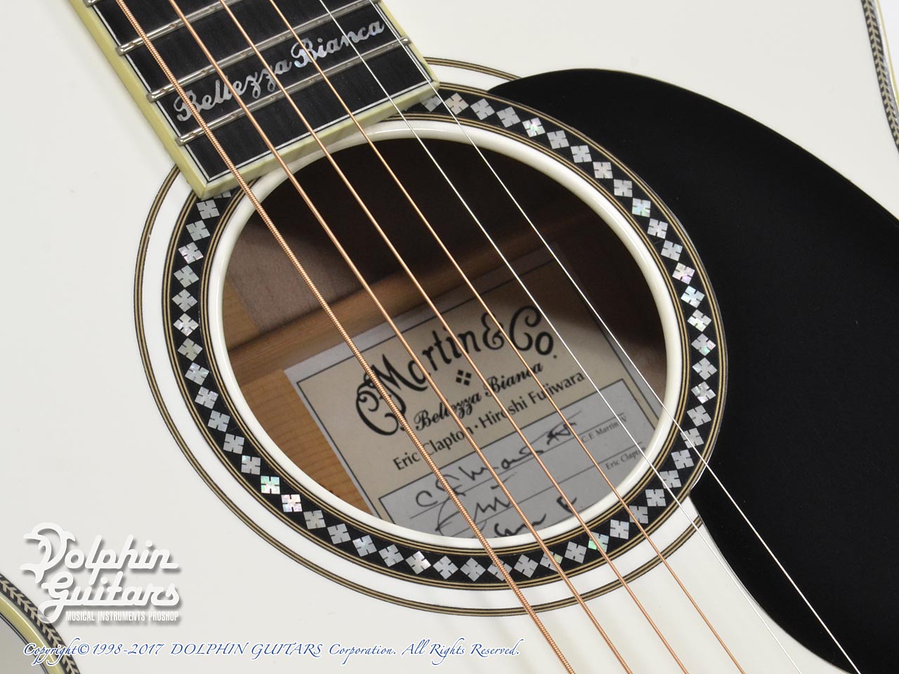 珍品B.‘Domingos Martins’ x B.‘Buchholtzii’ C.F.Martin 000-ECHF Bellezza Bianca |ドルフィンギターズ
