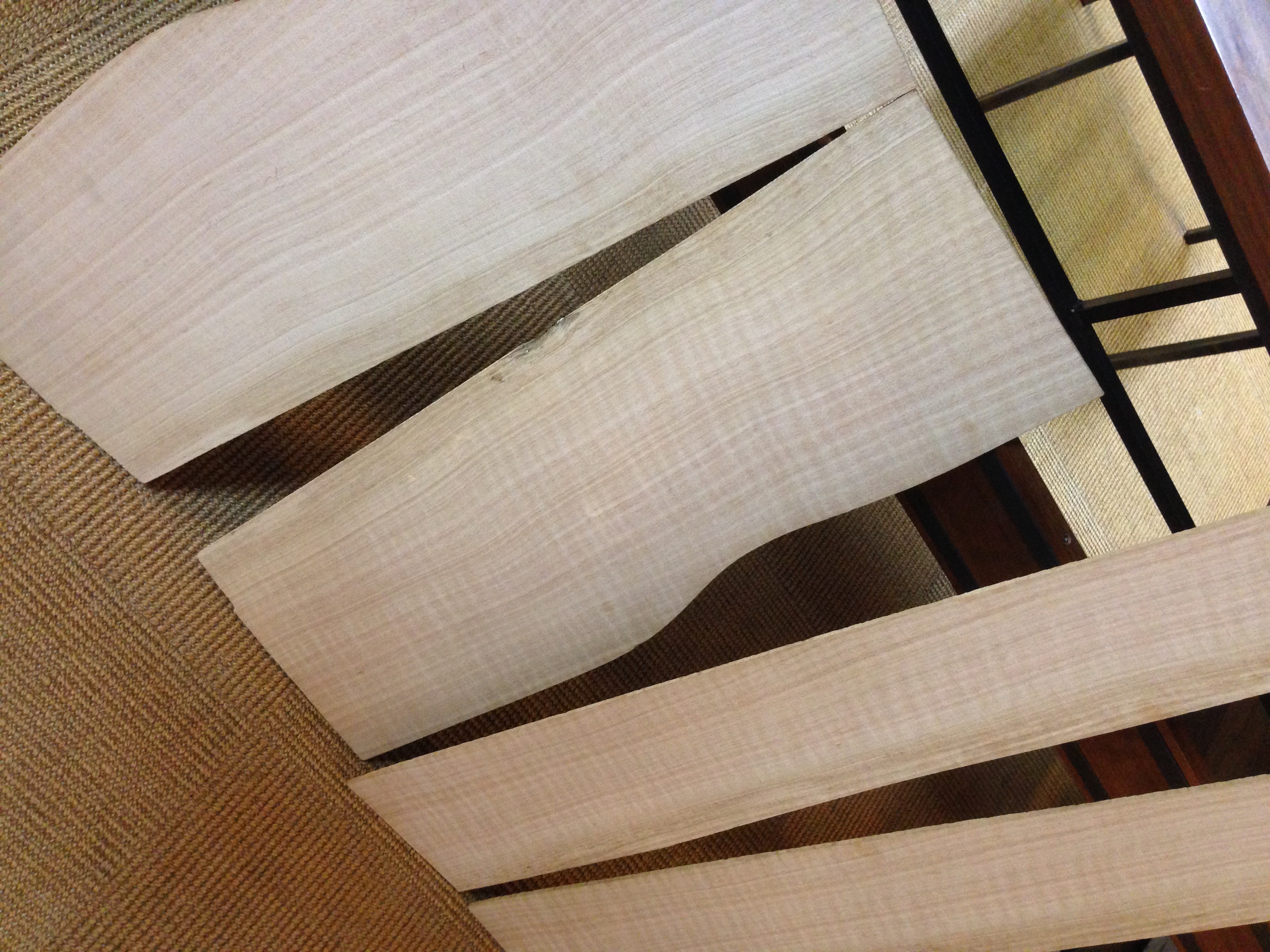 ドルフィンギターズ アコースティックギター ウクレレ販売