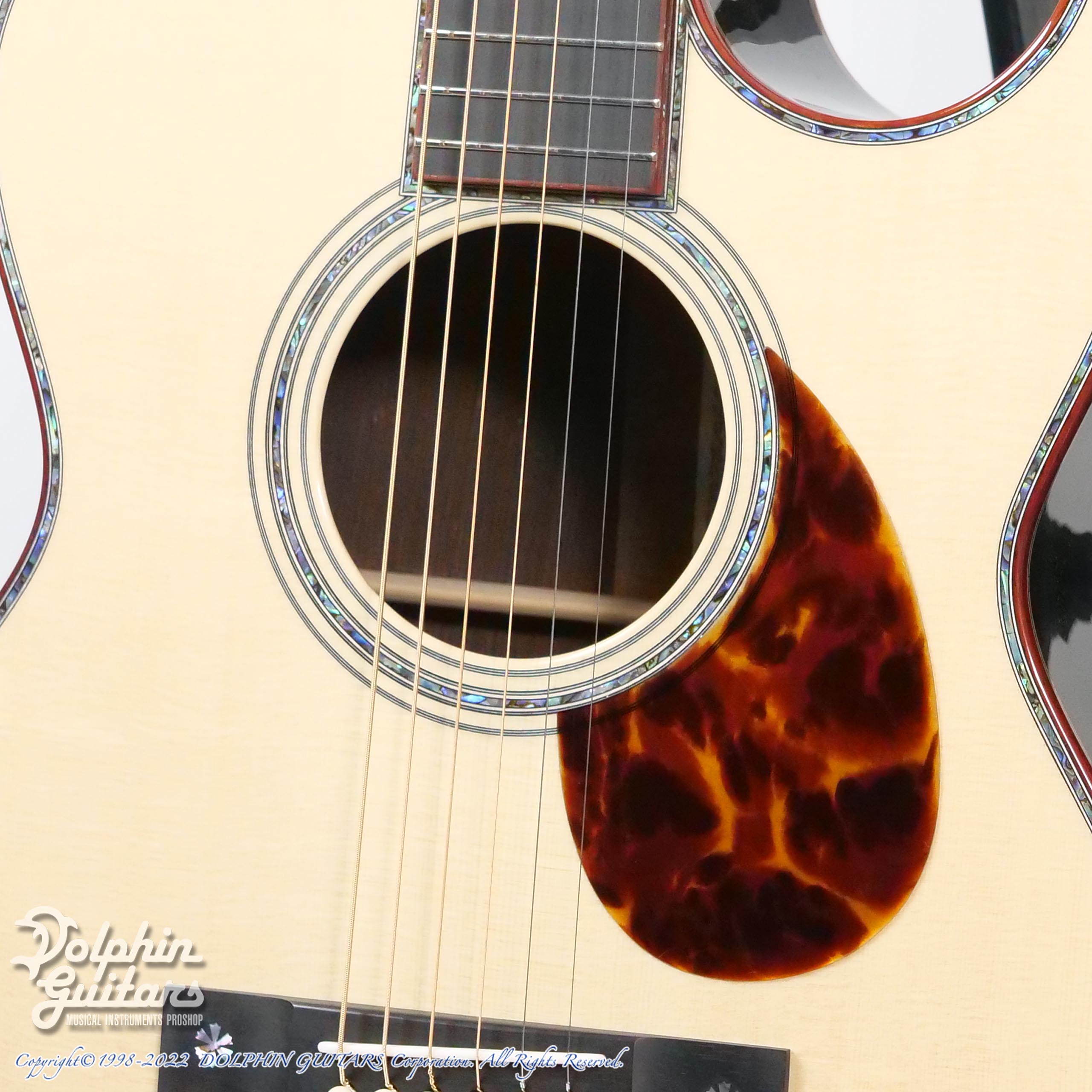 ドルフィンギターズ アコースティックギター・ウクレレ販売
